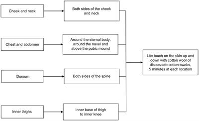 Effect of lite touch on the anxiety of low-risk pregnant women in the latent phase of childbirth: a randomized controlled trial